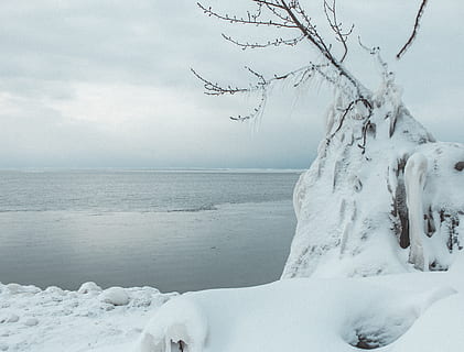 Canadá, goderich, oceano, árvore, congeladas, agua, neve, gelo, inverno, lago, temperatura fria, beleza na natureza, tranquilidade, scenics - natureza, cena tranquila, céu, natureza, dia, cor branca, horizonte sobre a água, ninguém, mar, horizonte, ao ar livre, frio, 4K, CC0, domínio público, royalty free