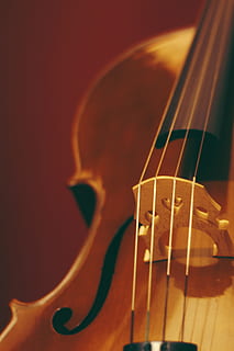 sideriss, fiolin, Bue, string, instrument, musikk, lyd, lytte, tre, viola, musikk Instrument, strengeinstrument, musikalsk utstyr, kunstkultur og underholdning, musikkinstrumentstreng, innendørs, gitar, nærbilde, tre - materiale, ingen folk, selektiv fokusering, stilleben, klassisk musikk, studio skudd, fokusere på forgrunnen, brun, gripebrettet, bue - musikalsk utstyr, 5K, CC0, offentlig domene, opphavsrett gratis