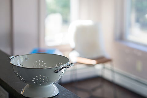 colino bianco, ciotola, catskills, Stati Uniti d'America, terrina, ceramica, zuppiera, porcellana, arte, tazza, vespa, calabrone, Andrena, insetto, ape, invertebrato, animale, in casa, smalto, utensile, fuori Centro, concentrarsi sulle conoscenze acquisite, bere, cibo e bevande, boccale, nessuno, finestra, avvicinamento, utensile da cucina, giorno, tavolo, natura morta, rinfresco, vasellame, interno di casa, tazza di caffè, caffè - bevanda, caffè, tazza di tè, 5K, CC0, dominio pubblico, privo di copyright