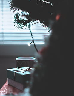 llums de corda, arbre de Nadal, regal, pi, caffe, llum, xma, a l'interior, una persona, persones reals, enfocament selectiu, arbre, planta, part del cos humà, taula, dia, mà humana, estils de vida, naturalesa, mà, celebració, finestra, primer pla, dones, menjar i beguda, 2K, CC0, domini públic, lliure de regalies