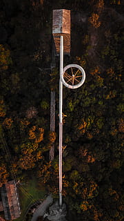poste de concreto cinza, árvore, plantar, ninguém, transporte, natureza, outono, ao ar livre, dia, crescimento, arquitetura, visão de alto ângulo, mudança, bicicleta, pólo, esporte, modo de transporte, veículo terrestre, estrutura construída, metal, terra, roda, 2K, CC0, domínio público, royalty free