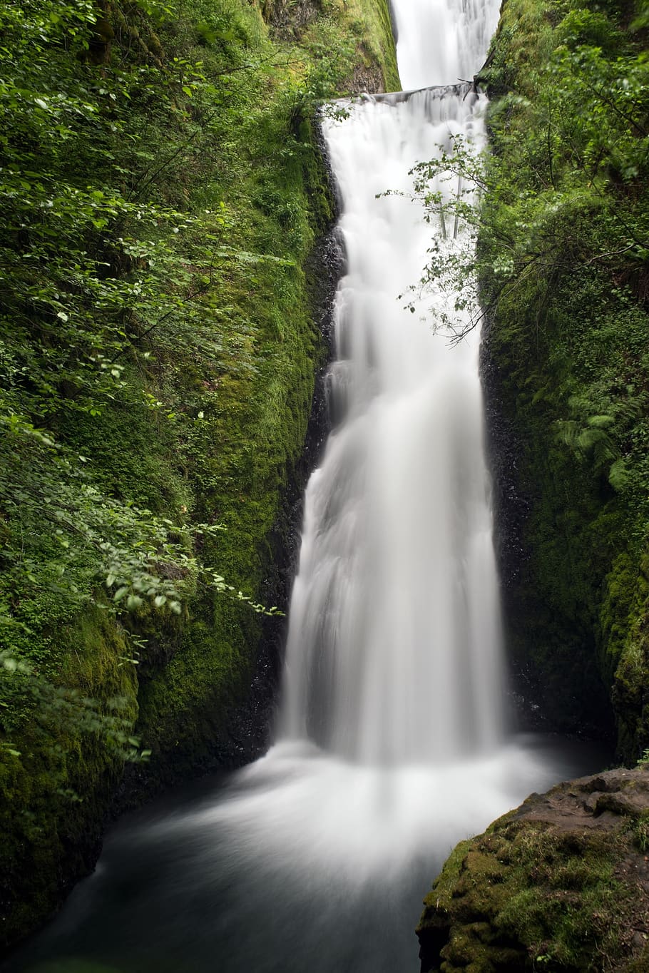 Wasserfall, Fluss, Strom, Moos, Cliff, Felsen, Natur, Szenen - Natur, Pflanze, Schönheit in der Natur, Wasser, Bewegung, fließendes Wasser, Wald, Langzeitbelichtung, Baum, Bewegungsunschärfe, Land, keine Leute, Rock, Rock - Objekt, grüne Farbe, solide, fließend, Kraft in der Natur, draußen, Regenwald, fallendes Wasser, 1080P