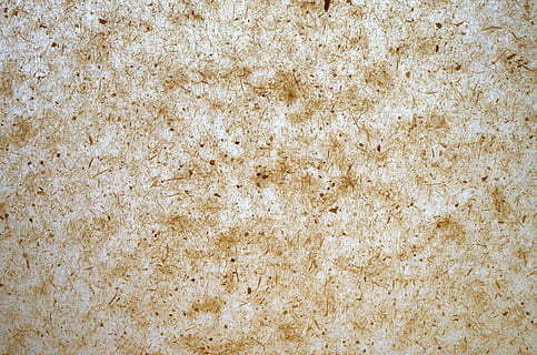 paper, background, structure, parchment, transparent, fibers, backgrounds, textured, full frame, beige, pattern, no people, abstract, close-up, old, marble, retro styled, textured effect, material, macro, copy space, extreme close-up, rough, white color, dirty, blank, abstract backgrounds, antique, surface level, 4K, CC0, public domain, royalty free