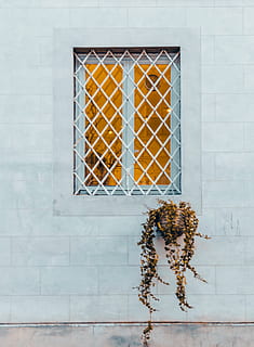 okno, Okna, zeď, Dům, palác, mininal, bílý, minimalismus, minimalistický, architektura, budova, stavba, rostlina, exteriér budovy, den, nikdo, nástěnný prvek, venku, květ, Příroda, růst, kvetoucí rostlina, detail, vzor, závěsný, krása v přírodě, 4K, CC0, veřejná doména, bez autorských práv