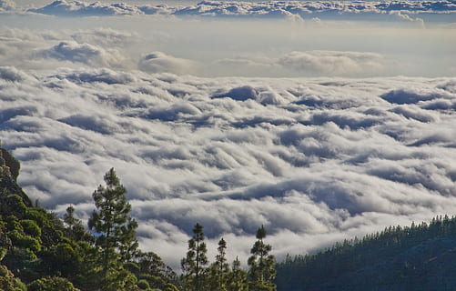 vista, núvols, muntanya, superior, atmosfera, cloudscape, alba, la llum del dia, tret d'angle alt, paisatge, naturalesa, a l'aire lliure, escènic, skyscape, posta de sol, viatjar, arbres, temps, núvol - cel, arbre, cel, bellesa a la natura, planta, tranquil·litat, escena tranquil·la, escenics - natura, cap gent, dia, creixement, escena no urbana, idíl·lic, medi ambient, color verd, bosc, terra, 2K, CC0, domini públic, lliure de regalies