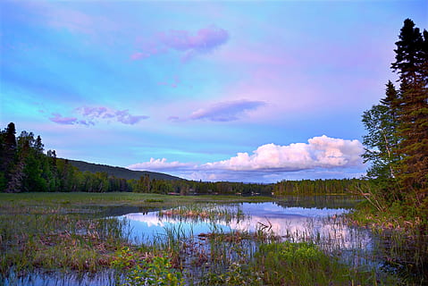 trær, innsjø, blå, himmel, skyer, dagslys, miljø, skog, gress, landskap, myr, natur, refleksjoner, scenisk, vann, skogen, skjønnhet i naturen, sky - himmel, naturskjønnhet - natur, rolig scene, anlegg, ro, refleksjon, ingen folk, tre, ikke-urbane scene, vekst, idylliske, fjell, dag, utendørs, lilla, 5K, CC0, offentlig domene, opphavsrett gratis