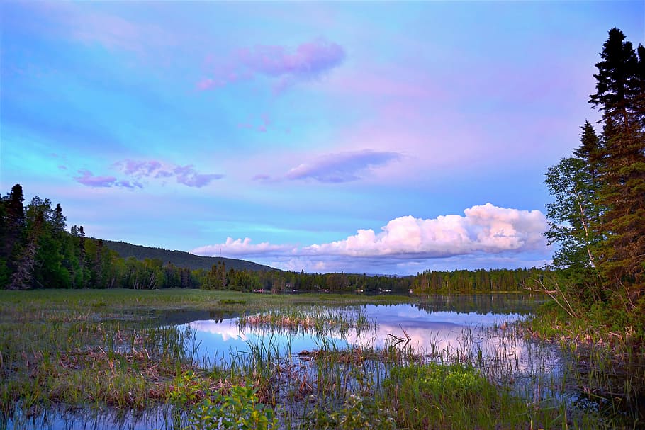 træer, sø, blå, himmel, skyer, dagslys, miljø, Skov, græs, landskab, marsk, natur, refleksioner, naturskøn, vand, skønhed i naturen, sky - himmel, scenics - natur, rolig scene, plante, ro, afspejling, ingen mennesker, træ, ikke-urbane scene, vækst, idyllisk, bjerg, dag, udendørs, lilla, 5K