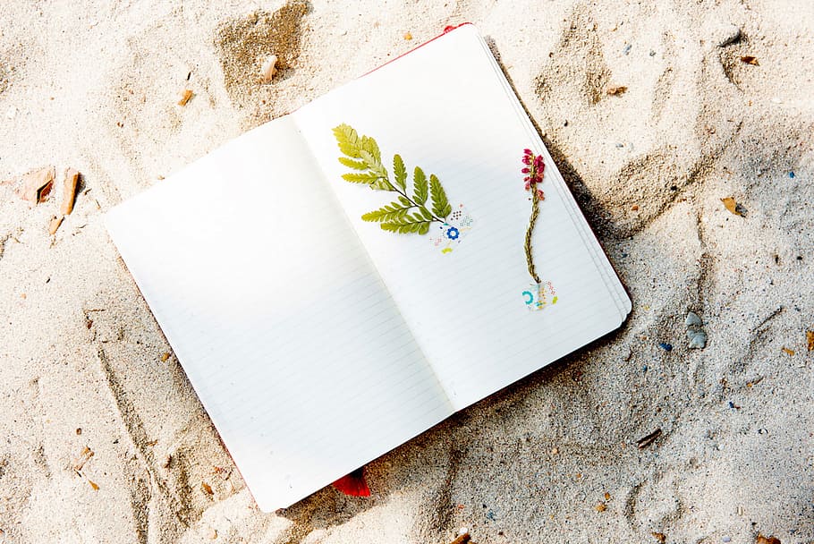sorra, platja, plantes, quadern, arts, artesanies, paper, vista d’angle alt, cap gent, natura morta, creativitat, Color blanc, dia, a l'interior, primer pla, naturalesa, terra, tir de l'estudi, directament a sobre, pàgina, planta, publicació, còpia espai, taula, en blanc, 720P