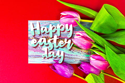 Ostern, Ostergruß, Frühling, rot, osterkarte, Grußkarte, dekorativ, Tradition, Textfeld, Bürste Lette Ring, Tulpe, Frische, Nahansicht, keine Leute, Essen und Trinken, Blume, drinnen, blühende Pflanze, High Angle View, Pflanze, Text, pinke Farbe, Lebensmittel, Liebe, positive Emotionen, Stillleben, Gemüse, westliche Schrift, Emotion, Kommunikation, 5K, CC0, gemeinfrei, lizenzfrei