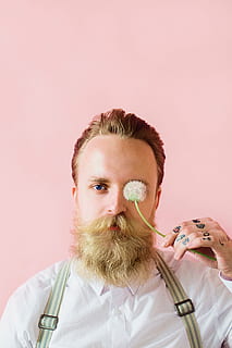 man, awesome, beard, model, fashion, male, pink, background, flower, plant, eye, braces, suspenders, studio shot, colored background, indoors, portrait, hair, adult, blond hair, front view, people, facial hair, pink background, headshot, hairstyle, looking at camera, men, holding, cutting hair, combing, 5K, CC0, public domain, royalty free
