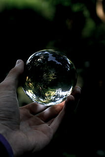 trees, ball, magic, hand, distorted, reflection, refraction, dark, moody, human hand, holding, human body part, one person, close-up, real people, unrecognizable person, sphere, focus on foreground, crystal ball, finger, human finger, leisure activity, transparent, nature, crystal, lifestyles, outdoors, body part, 5K, CC0, public domain, royalty free