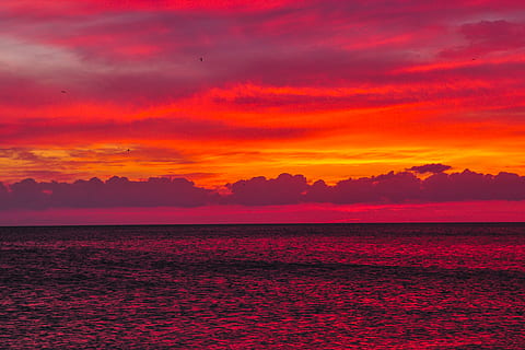 nubi cumuliformi, cielo, tramonto, natura, mare, oceano, stati Uniti, Florida, Alba, cielo rosso, all'aperto, crepuscolo, acqua, nube, orizzonte, vivace, buio, rosa, bellezza nella natura, scena tranquilla, scenics - natura, la tranquillità, nuvola - cielo, rosso, colore arancione, nessuno, idilliaco, cielo drammatico, orizzonte sull'acqua, terra, cielo romantico, 4K, CC0, dominio pubblico, privo di copyright