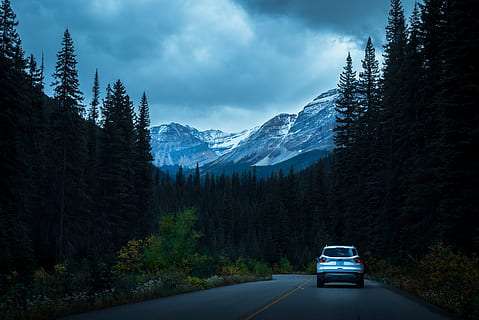 alberta, Canadà, arbres, carretera, muntanyes, bosc, transport, arbre, cotxe, automòbil, manera de transport, muntanya, planta, núvol - cel, bellesa a la natura, cel, naturalesa, escenics - natura, direcció, cap gent, vehicle terrestre, escena tranquil·la, tranquil·litat, el camí a seguir, a l'aire lliure, muntanya nevada, viatge de carretera, 5K, CC0, domini públic, lliure de regalies