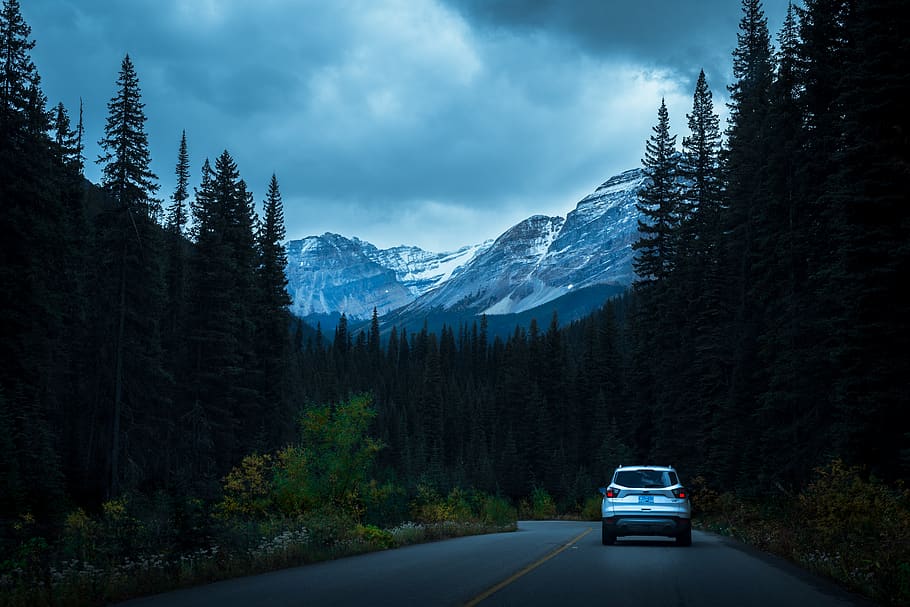 alberta, Canadà, arbres, carretera, muntanyes, bosc, transport, arbre, cotxe, automòbil, manera de transport, muntanya, planta, núvol - cel, bellesa a la natura, cel, naturalesa, escenics - natura, direcció, cap gent, vehicle terrestre, escena tranquil·la, tranquil·litat, el camí a seguir, a l'aire lliure, muntanya nevada, viatge de carretera, 5K