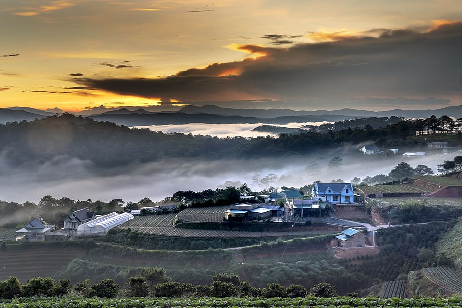 dalat, bonic, núvols, ciutat, alba, fantasiosa, natural, llum, frescor, viatjar, el paisatge, a l'aire lliure, hivern, reflexionar, fred, bosc, màgic, muntanya, el matí, temps, l'aire, arbre, el turó, sortida del sol, boira, núvol - cel, cel, escenics - natura, posta de sol, bellesa a la natura, paisatge, medi ambient, naturalesa, planta, escena tranquil·la, arquitectura, tranquil·litat, cap gent, estructura construïda, terra, 8K