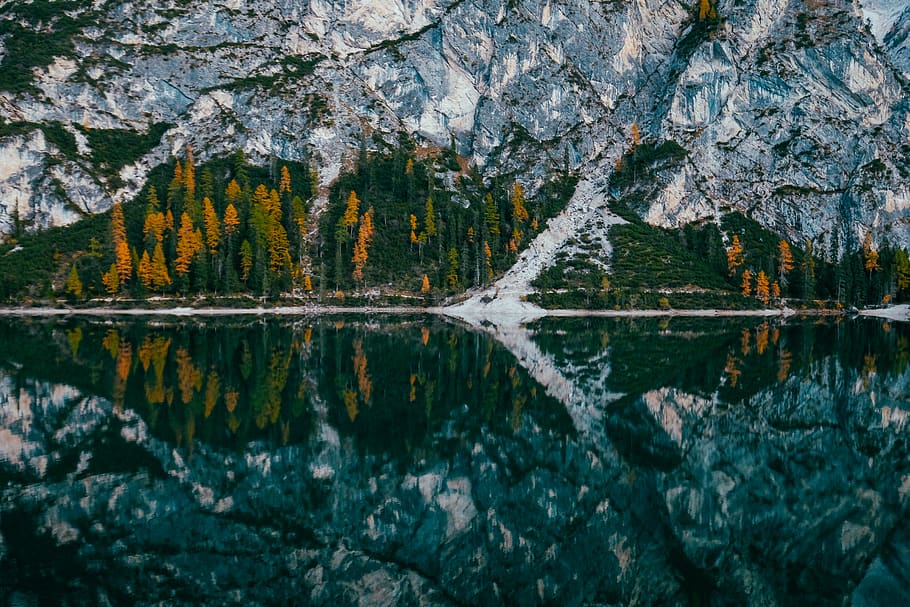 alberi di pino, accanto, montagna, luce del giorno, riflessione, panoramico, alberi, acqua, bellezza nella natura, natura, roccia, lago, albero, la tranquillità, roccia - oggetto, pianta, solido, scena tranquilla, nessuno, scenics - natura, giorno, all'aperto, formazione rocciosa, terra, formazione, eroso, 5K