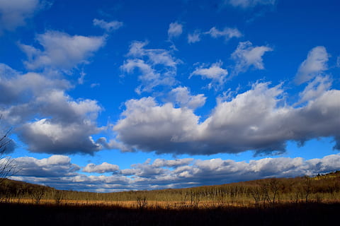 landscape, clouds, sky, field, nature, autumn, countryside, rural, meadow, scenic, trees, blue, amber, outdoors, environment, panorama, cloud - sky, tranquil scene, beauty in nature, tranquility, scenics - nature, land, non-urban scene, no people, day, plant, grass, horizon over land, horizon, 4K, CC0, public domain, royalty free