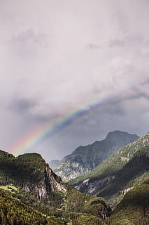 zelené stromy, Příroda, venku, nebe, duha, hora, pohoří, horský řetězec rieserferner, Itálie, campo tures, vrchol, krajina, scenérie, útes, přistát, vegetace, strom, rostlina, deštný prales, plošina, počasí, mrak - nebe, krása v přírodě, scenics - příroda, klid, klidné scény, životní prostředí, mimoměstské scény, nikdo, den, idylický, vícebarevné, dvojitá duha, 5K, CC0, veřejná doména, bez autorských práv