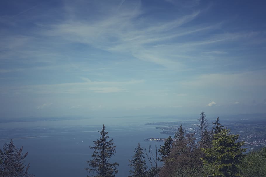 verde, alberi di foglie, blu, cielo, ore notturne, nuvole, paesaggio, natura, oceano, mare, alberi, acqua, la tranquillità, albero, bellezza nella natura, pianta, scenics - natura, scena tranquilla, nuvola - cielo, nessuno, scena non urbana, giorno, idilliaco, all'aperto, terra, crescita, 5K