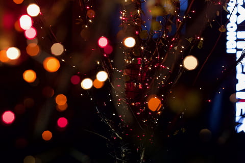 bokeh effekt, lys, papir, konfetti, tokyo, roppongi, japan, træ, belysning, glitter, juletræ, ornament, plante, flare, streng lys, natklub, klub, natteliv, menneskemængde, laser, belyst, nat, dekoration, ingen mennesker, fest, belysningsudstyr, ferie, jul, multi farvet, tæt på, julelys, juledekoration, linseflare, indendørs, sløret, mønster, forfriskning, jul ornament, 5K, CC0, offentligt domæne, royaltyfrie