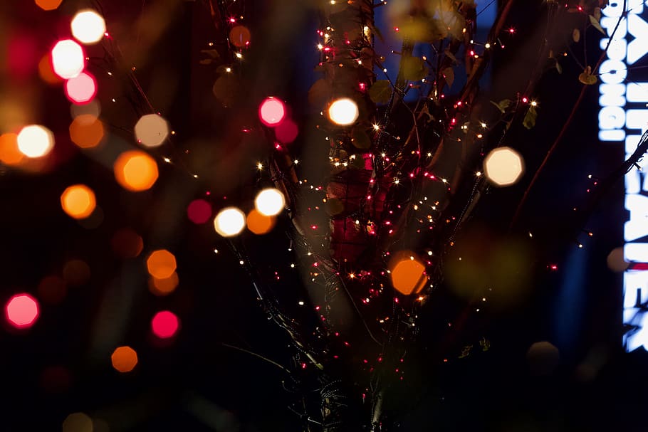 efecte bokeh, llum, paper, confeti, tokyo, roppongi, Japó, arbre, il·luminació, purpurina, arbre de Nadal, ornament, planta, flamarada, llums, llums de corda, discoteca, club, vida nocturna, multitud, làser, il·luminat, nit, decoració, cap gent, celebració, equips d’il·luminació, festa, Nadal, multicolor, primer pla, llums de Nadal, decoració de Nadal, flare de la lent, a l'interior, defocated, patró, refresc, adorn de Nadal, 5K