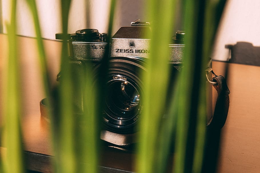poc profund, focalitzar la fotografia, negre, gris, càmera dslr, borrós, càmera, primer pla, flora, fresc, herba, verd, creixement, a l'interior, fotografia, planta, retro, vintage, zeiss, zeiss ikon, enfocament selectiu, cap gent, tecnologia, color verd, natura morta, obsoleta, temes de fotografia, contenidor, estil retro, metall, ampolla, càmera - equip fotogràfic, antiguitat, cultura i entreteniment artístic, centrar-se en primer pla, història, naturalesa, 4K