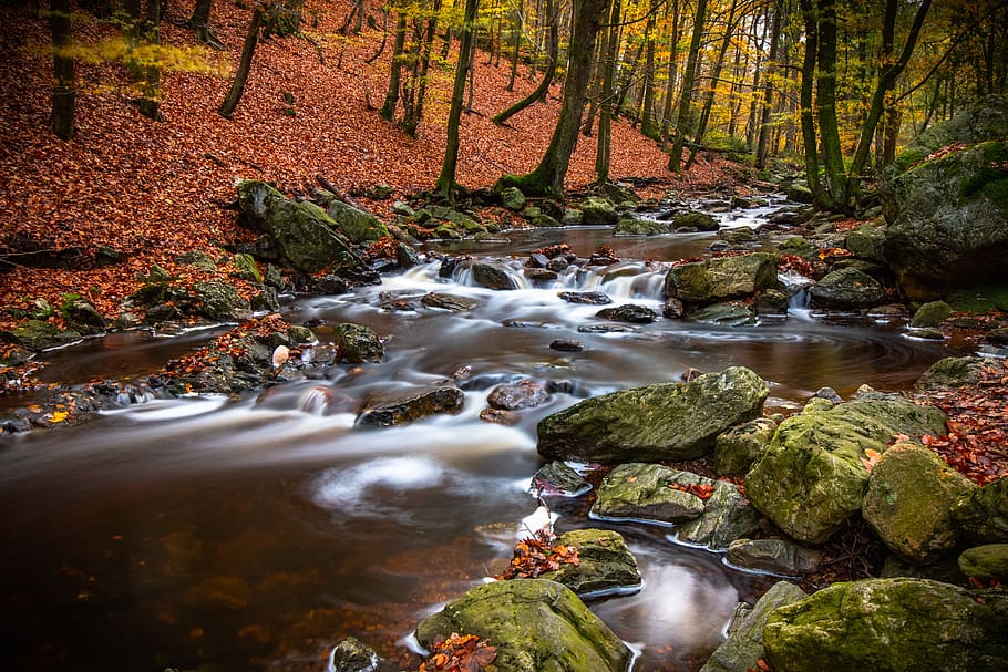 corsi d'acqua, i flussi, autunno, acqua, albero, roccia, roccia - oggetto, foresta, bellezza nella natura, pianta, solido, scenics - natura, acqua corrente, lunga esposizione, natura, flusso - acqua che scorre, terra, movimento, giorno, fluente, nessuno, scena non urbana, all'aperto, modificare, 5K
