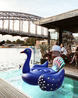 bleu, paon, flotte, bassin, pont, flotteur, piscine, structure construite, architecture, eau, journée, pont - structure artificielle, lien, la nature, oiseau, ciel, représentation, en plein air, personnes, gonflable, 2K, CC0, domaine public, libre de droits
