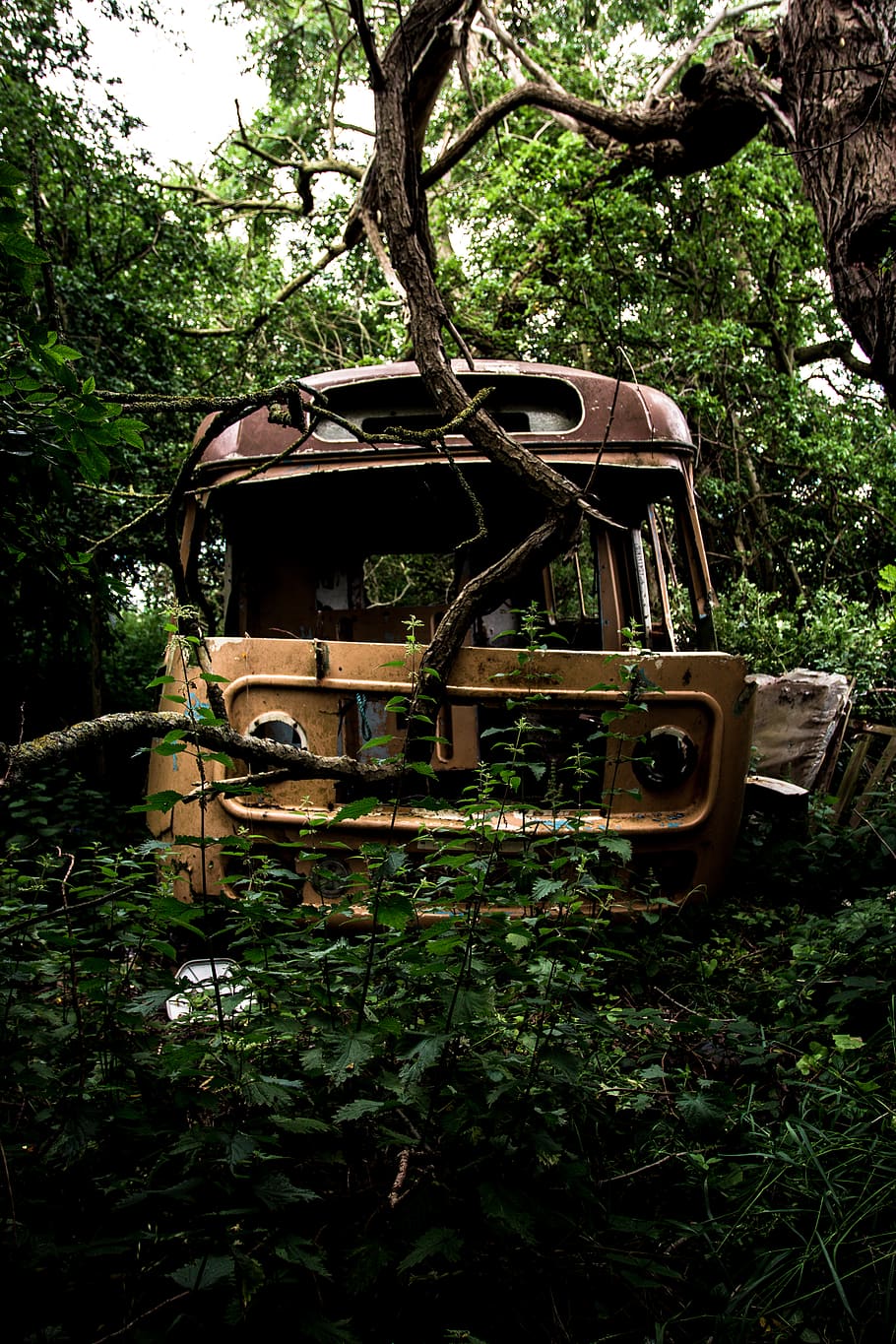 arbres, bosc, cotxe, furgoneta, autocaravana, cobert, rovellat, vell, rústic, vintage, abandonat, canviant d'humor, fosc, aventura, ortigues, groc, verd, xoc, trist, trencat, arbre, planta, terra, obsoleta, dia, naturalesa, espatllat, cap gent, transport, metall, color verd, creixement, camp, a l'aire lliure, aixafar, deteriorament, roda, 5K