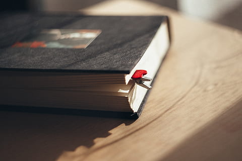 book, notebook, diary, table, work, office, bookmark, black, pages, sheet, cover, close-up, no people, selective focus, wood - material, publication, indoors, still life, paper, music, record, education, wisdom, high angle view, shadow, sunlight, red, stack, 4K, CC0, public domain, royalty free