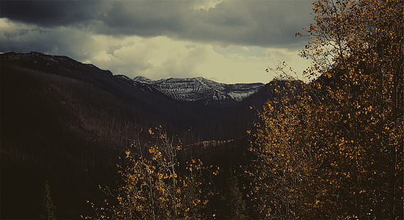 black, brown, clouds, gray, mountains, orange, snow, trees, sky, cloud - sky, mountain, tree, land, scenics - nature, beauty in nature, mountain range, plant, nature, forest, environment, landscape, no people, autumn, coniferous tree, travel destinations, tranquil scene, tranquility, outdoors, pine tree, pine woodland, mountain peak, 2K, CC0, public domain, royalty free