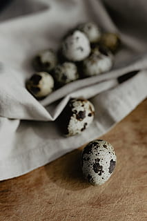 quail eggs, food, eggs, easter, quail, still life, indoors, food and drink, table, close-up, freshness, no people, selective focus, focus on foreground, wellbeing, high angle view, healthy eating, indulgence, sweet food, spice, cookie, paper, baked, ready-to-eat, temptation, 4K