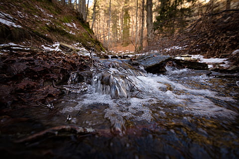 río, rodeando, verde, árboles de hojas, tiempo de día, frío, ambiente, fluir, bosque, hielo, paisaje, larga exposición, musgo, movimiento, montaña, naturaleza, rock, rocas, escénico, nieve, piedras, corriente, lapso de tiempo, arboles, agua, mojado, invierno, agua que fluye, nadie, árbol, tierra, día, fluido, planta, belleza en la naturaleza, descargando, movimiento borroso, al aire libre, paisajes - naturaleza, corriente - agua que fluye, agua corriendo, 5K, CC0, dominio público, libre de derechos
