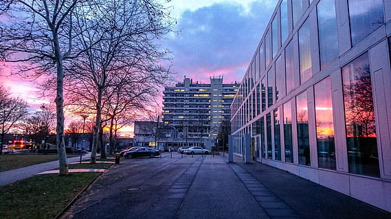 Sonnenuntergang, die Architektur, Gebäude, Computerwissenschaften, Stuttgart, Fenster, Spiegeln, Stimmung, Nachglühen, Farbe, Stadt, Gebäudehülle, gebaute Struktur, Straße, Baum, Auto, Kraftfahrzeug, Himmel, Natur, der Weg nach vorn, Transport, Pflanze, Richtung, Transportmittel, wolke - himmel, beleuchtet, kahler Baum, keine Leute, draußen, Bürogebäude außen, Stadtbild, Wolkenkratzer, 5K, CC0, gemeinfrei, lizenzfrei