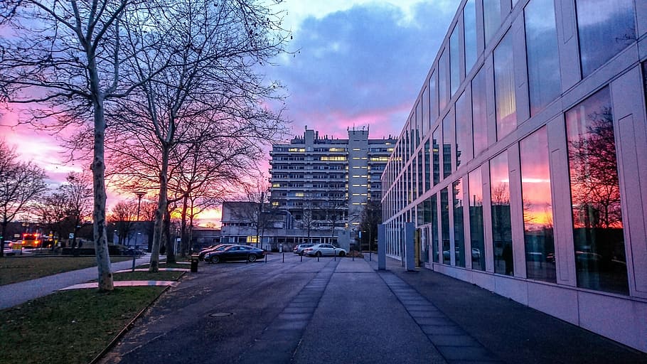 posta de sol, arquitectura, edifici, Ciències de la Computació, Stuttgart, finestra, duplicació, humor, resplendor, color, ciutat, exterior de l'edifici, estructura construïda, carrer, arbre, cotxe, automòbil, cel, naturalesa, el camí a seguir, transport, planta, carretera, direcció, manera de transport, núvol - cel, il·luminat, arbre nu, cap gent, a l'aire lliure, exterior d’edifici d’oficines, paisatge urbà, gratacels, 5K