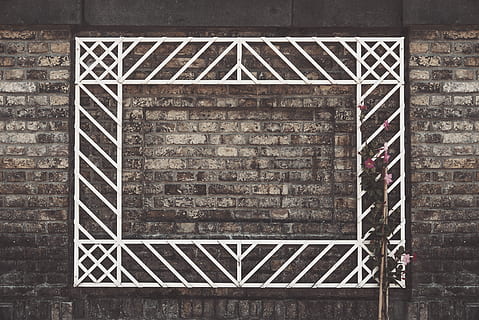 Germania, Köln, flora, struttura, pietre, muro di mattoni, mattoni, cornice di legno, fiore, opere murarie, natura, città, urbano, colonia, deutschland, fogliame, parete, facciata, struttura costruita, architettura, modello, nessuno, design, esterno dell'edificio, giorno, caratteristica della parete, costruzione, metallo, legno - materiale, mattone, all'aperto, forma, finestra, fotogramma intero, arte e artigianato, sicurezza, 4K, CC0, dominio pubblico, privo di copyright