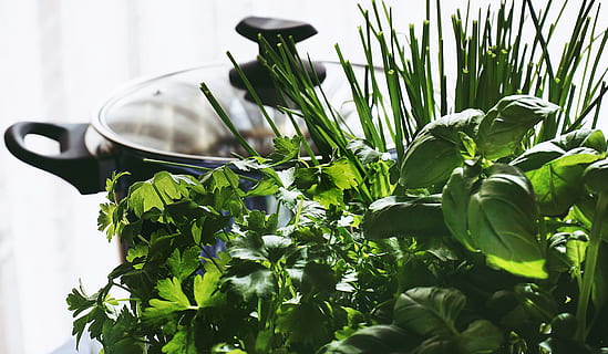 cerca de la foto, hierbas, maceta, aromático, albahaca, difuminar, cebolletas, de cerca, profundidad de campo, atención, Fresco, frescura, sano, herbario, ingrediente, perejil, plantas, color verde, planta, hoja, parte de la planta, crecimiento, naturaleza, nadie, comida y bebida, comida, día, belleza en la naturaleza, al aire libre, alimentación saludable, vegetal, enfoque selectivo, hierba, equipo doméstico, 5K, CC0, dominio público, libre de derechos