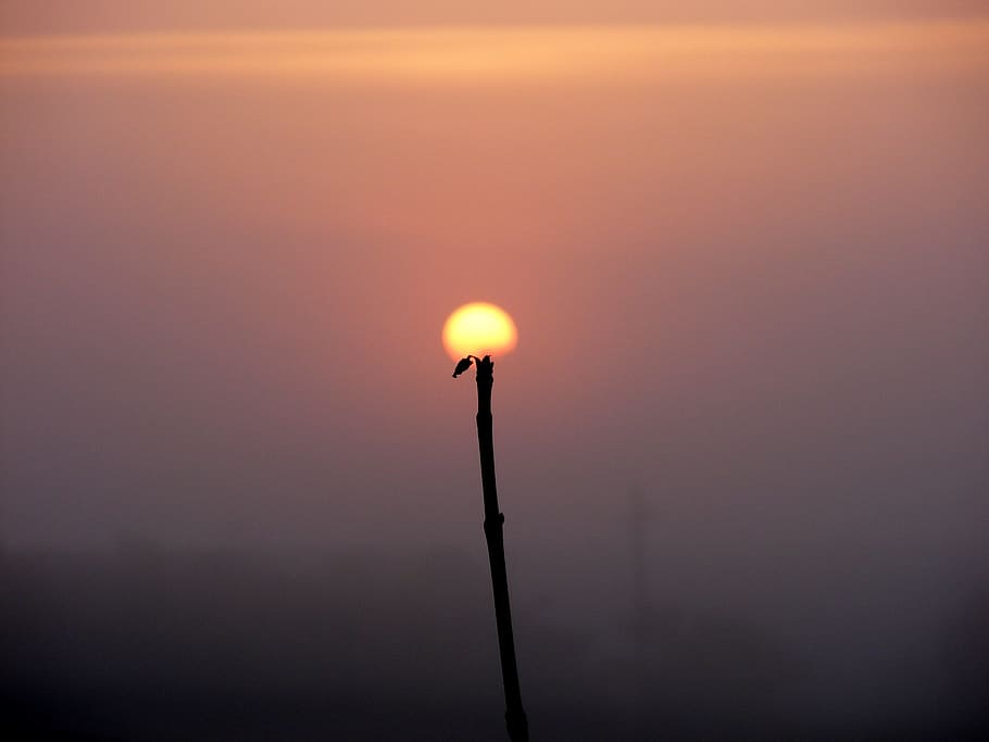 didascalia, immaginazione, natura, sole, il giro, tramonto, attrezzatura per l'illuminazione, cielo, nessuno, colore arancione, lampione, bellezza nella natura, silhouette, avvicinamento, elettricità, tecnologia, all'aperto, luce - fenomeno naturale, illuminato, copia spazio, Inquadratura dal basso, strada, combustibile e produzione di energia, lampada elettrica, 2K