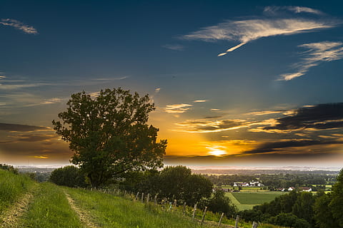 groene bladbomen, wolken, dageraad, gras, idyllisch, natuur, weg, toneel-, hemel, zon, zonsopkomst, zonsondergang, rustig, bomen, fabriek, boom, wolk - lucht, scenics - natuur, schoonheid in de natuur, kalmte, veld-, rustige scène, land-, milieu, landschap, groei, geen mensen, zonlicht, buitenshuis, 5K, CC0, publiek domein, royaltyvrij