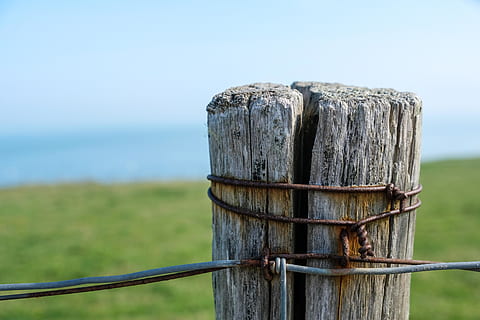 piket, post, pool, draad, kust, hek, landelijk, hout - materiaal, focus op de voorgrond, houten paal, grens, barrière, natuur, dag, land-, geen mensen, detailopname, veld-, veiligheid, water, hemel, gras, metaal, bescherming, buitenshuis, 5K, CC0, publiek domein, royaltyvrij