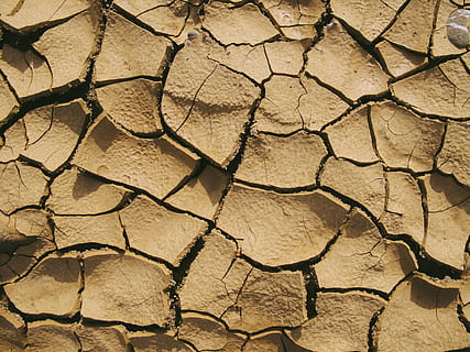 terreno marrone, suolo, terra, fango, struttura, Driftwood, legna, samurai, fungo, muro di pietra, parete, deserto, natura, all'aperto, fusciacca, carbone, natura selvaggia, yak, bestiame, animale, mammifero, siccità, clima, sfondi, clima arido, screpolato, scenics - natura, asciutto, ambiente, fotogramma intero, strutturato, sterile, modello, nessuno, modello naturale, paesaggio, campo, avvicinamento, effetto strutturato, 4K, CC0, dominio pubblico, privo di copyright