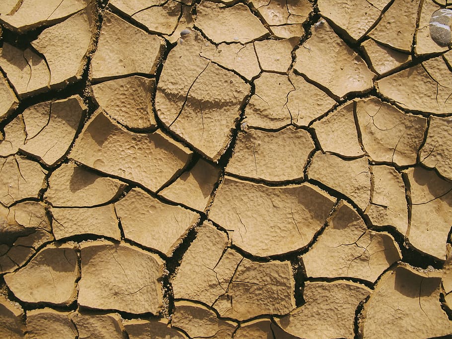 terreno marrone, suolo, terra, fango, struttura, Driftwood, legna, samurai, fungo, muro di pietra, parete, deserto, natura, all'aperto, fusciacca, carbone, natura selvaggia, yak, bestiame, animale, mammifero, siccità, clima, sfondi, clima arido, screpolato, scenics - natura, asciutto, ambiente, fotogramma intero, strutturato, sterile, modello, nessuno, modello naturale, paesaggio, campo, avvicinamento, effetto strutturato, 4K