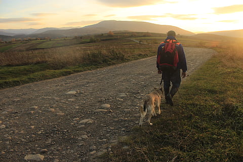 ukraine, pattedyr, dyre temaer, dyr, et dyr, rigtige mennesker, husdyr, indenlandske, kæledyr, hund, hunde, fuld længde, fritidsaktivitet, livsstil, en person, skønhed i naturen, natur, hvirveldyr, himmel, scenics - natur, gå, udendørs, kæledyr ejer, 5K, CC0, offentligt domæne, royaltyfrie