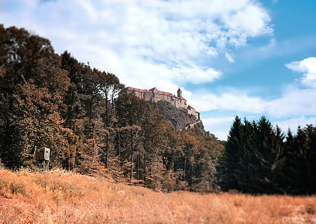 castello marrone, abete, pianta, abies, albero, natura, all'aperto, Austria, Riegersburg, riegersburg 44, conifera, campagna, scenario, costruzione, architettura, castello, collina, legna, Medioevo, paesaggio, vecchi tempi, cielo, nuvola - cielo, bellezza nella natura, crescita, giorno, nessuno, terra, esterno dell'edificio, Inquadratura dal basso, struttura costruita, scenics - natura, la tranquillità, scena tranquilla, montagna, modificare, 5K, CC0, dominio pubblico, privo di copyright