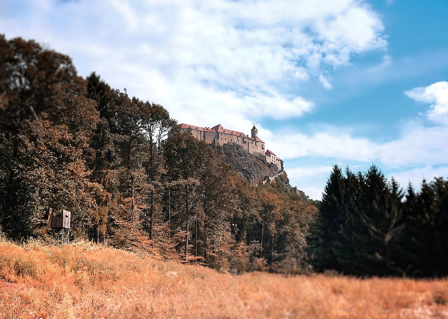 hnědý hrad, jedle, rostlina, abies, strom, Příroda, venku, Rakousko, riegersburg, riegersburg 44, jehličnatý strom, venkov, scenérie, budova, architektura, hrad, kopec, dřevo, středověk, krajina, staré časy, nebe, mrak - nebe, krása v přírodě, růst, den, nikdo, přistát, exteriér budovy, nízký úhel pohledu, stavba, scenics - příroda, klid, klidné scény, hora, změna, 5K