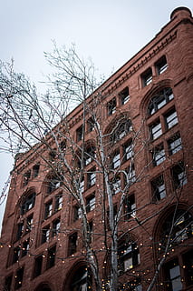 estructura de concreto marrón, ciudad, edificio, urbano, Alto, pueblo, edificio de apartamentos, ladrillo, metrópoli, árbol, edificio de oficinas, rascacielos, arquitectura, planta, torre, barrio, máquina, rueda, demolición, nublado, ventanas, exterior del edificio, estructura construida, vista de ángulo bajo, cielo, ventana, árbol desnudo, nadie, naturaleza, día, cielo limpio, Distrito residencial, al aire libre, rama, historia, arco, 5K, CC0, dominio público, libre de derechos