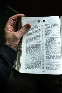 john book page, lidské ruky, jedna osoba, ruka, část lidského těla, vydání, rezervovat, hospodářství, skutečných lidí, text, aktivita, sdělení, část těla, čtení, životního stylu, prst, uvnitř, papír, osobní perspektivy, lidský prst, lidská končetina, 4K, CC0, veřejná doména, bez autorských práv