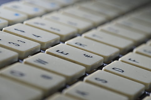 botões de computador branco, computador, teclado, hardware de computador, hardware, teclado de computador, eletrônicos, technics, toca-fitas, Comida, pepitas, frango frito, tela, televisão, exibição, monitor, Área de Trabalho, lírio, Flor, foco seletivo, fechar-se, carta, chave de computador, comunicação, tecnologia, peça de computador, ninguém, quadro completo, equipamentos de informática, dentro de casa, conexão, origens, alfabeto, texto, cor branca, grande grupo de objetos, 4K, CC0, domínio público, royalty free