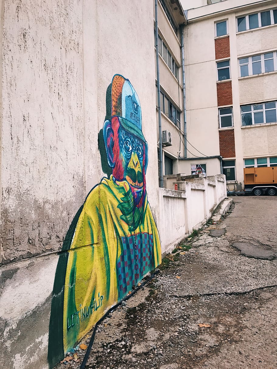 abe, graffiti, tegning, væg, kunst, gadekunst, by-, farverigt maleri, arkitektur, bygget struktur, bygning udvendig, rigtige mennesker, dag, en person, murbygningsfunktion, Kunst og håndværk, kreativitet, bygning, livsstil, by, udendørs, tøj, fritidsaktivitet, gade, multi farvet, bagfra, vægmaleri, 4K