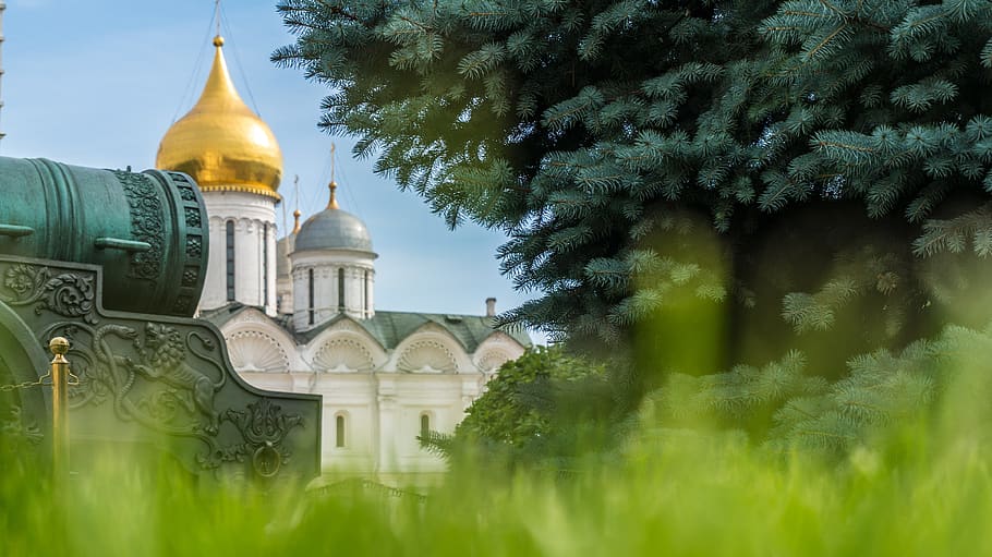 architettura, credenza, struttura costruita, religione, luogo di culto, pianta, esterno dell'edificio, albero, costruzione, natura, spiritualità, cupola, color oro, destinazioni di viaggio, nessuno, storia, giorno, all'aperto, guglia, 4K